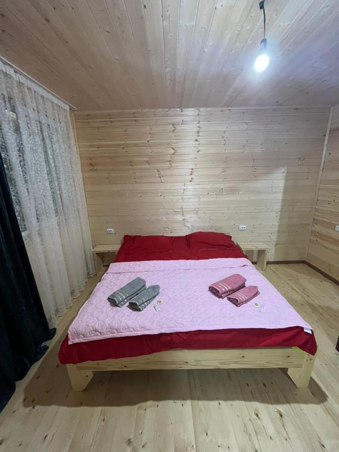 Guest House Caucasioni Adishi Exterior foto